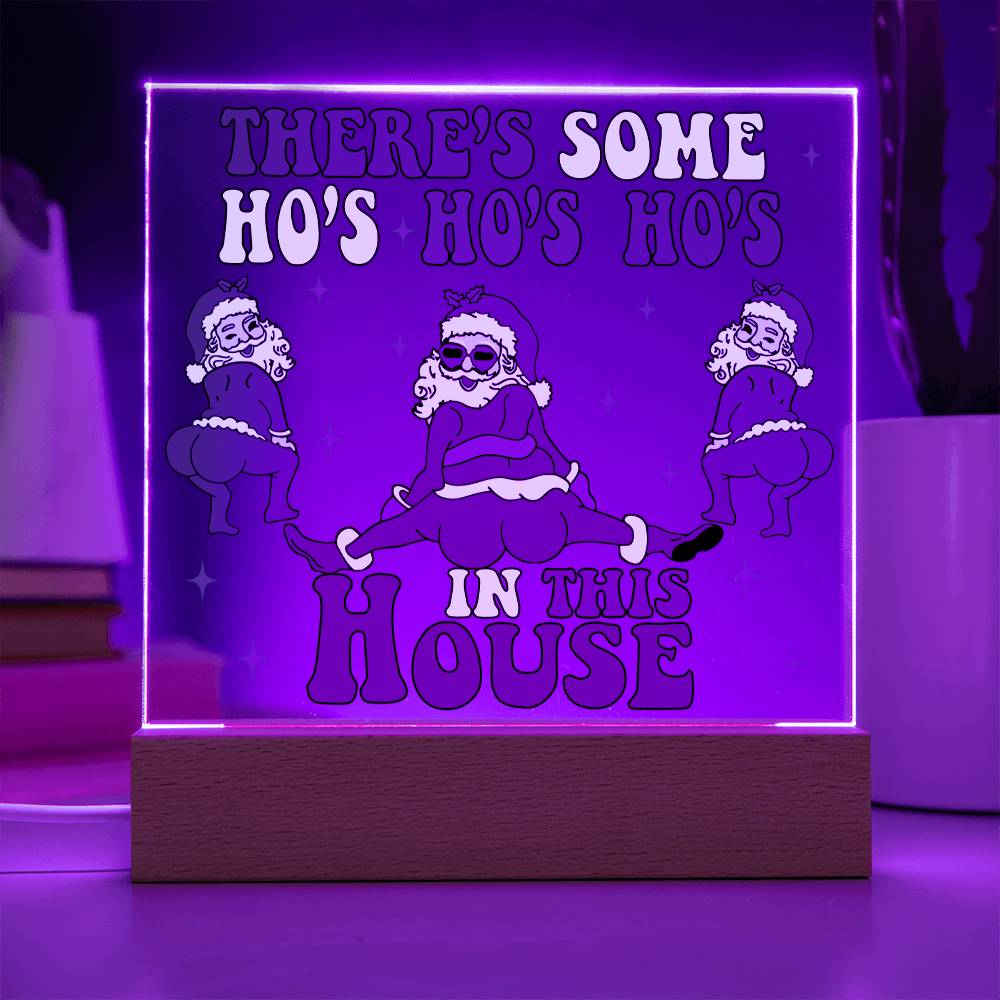 There's Some Ho's Ho's Ho's In This House Funny Christmas Themed Square Acrylic Plaque - keepsaken