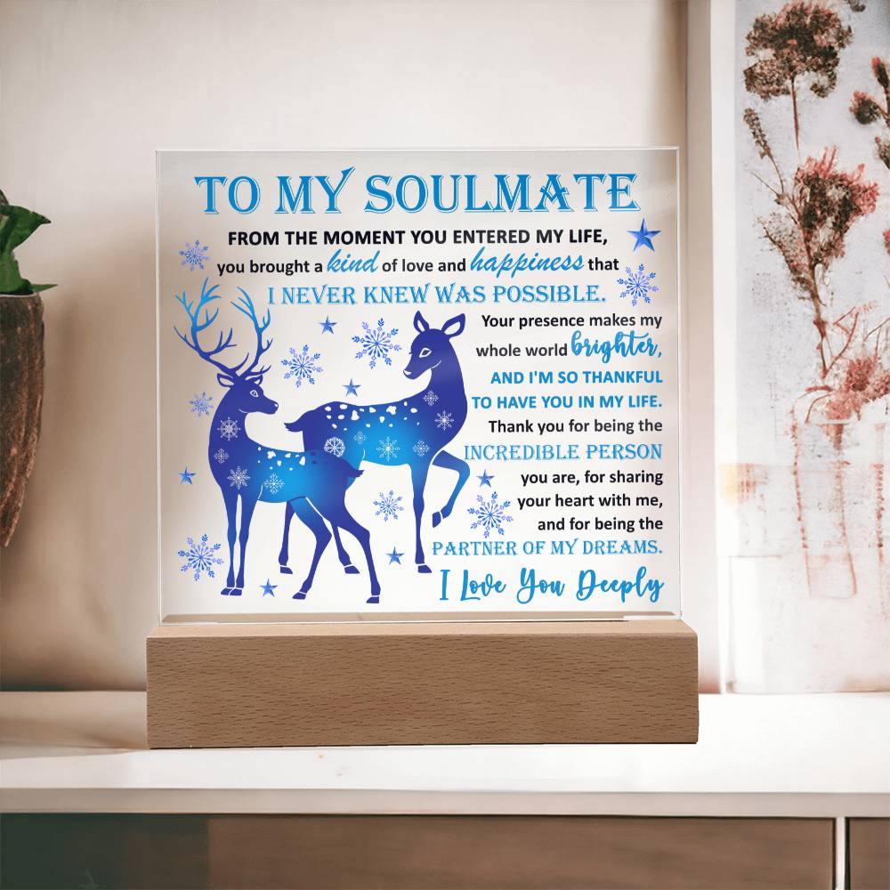 To My Soulmate The Partner Of My Dreams Square Acrylic Plaque, Christmas Gift - keepsaken